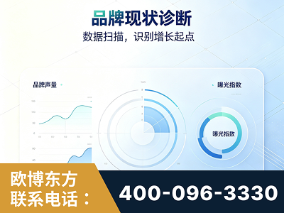 石家庄-品牌现状诊断