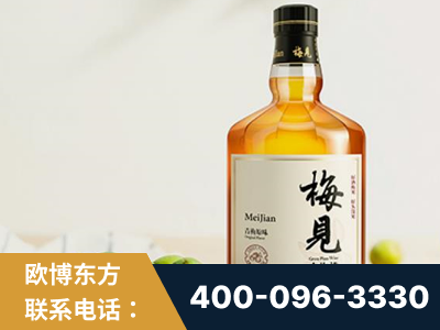 石家庄-梅见青梅酒